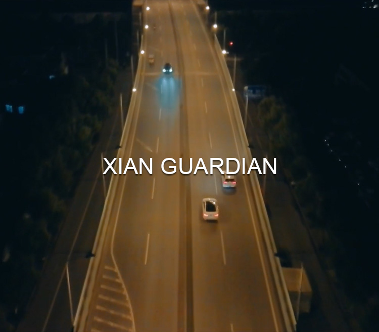 英文m-鲜味的守护