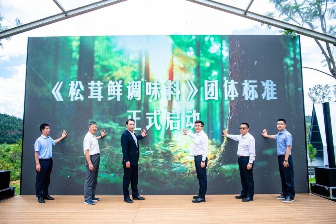 太太乐以“良性循环”驱动增长，筑牢价值护城河驶入行业新周期997 大.jpeg