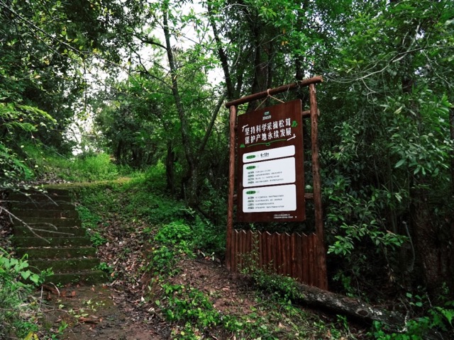 副本v2-太太乐-新闻（松茸开山节）20260717_CA638 中.jpeg